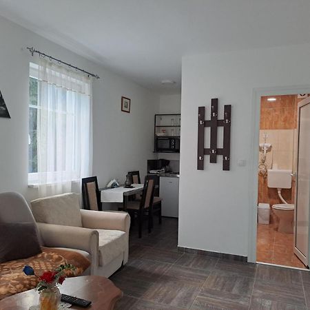 Vila Mozart - Apartments & Studios コパオニク エクステリア 写真