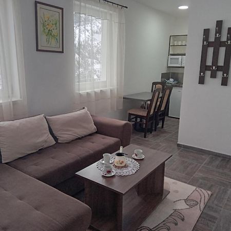 Vila Mozart - Apartments & Studios コパオニク エクステリア 写真