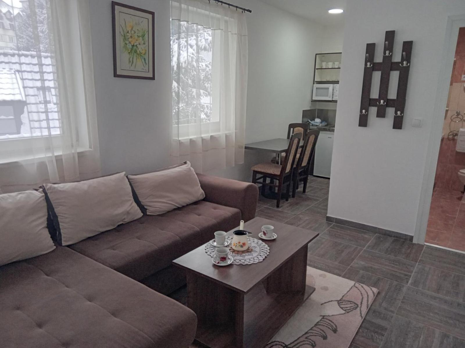 Vila Mozart - Apartments & Studios コパオニク エクステリア 写真