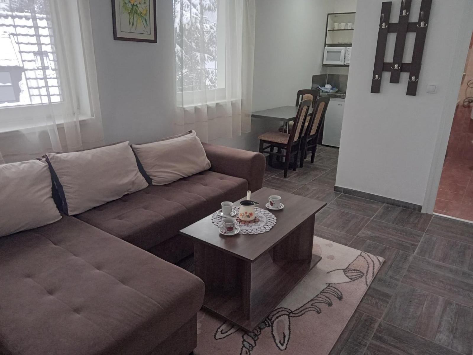 Vila Mozart - Apartments & Studios コパオニク エクステリア 写真