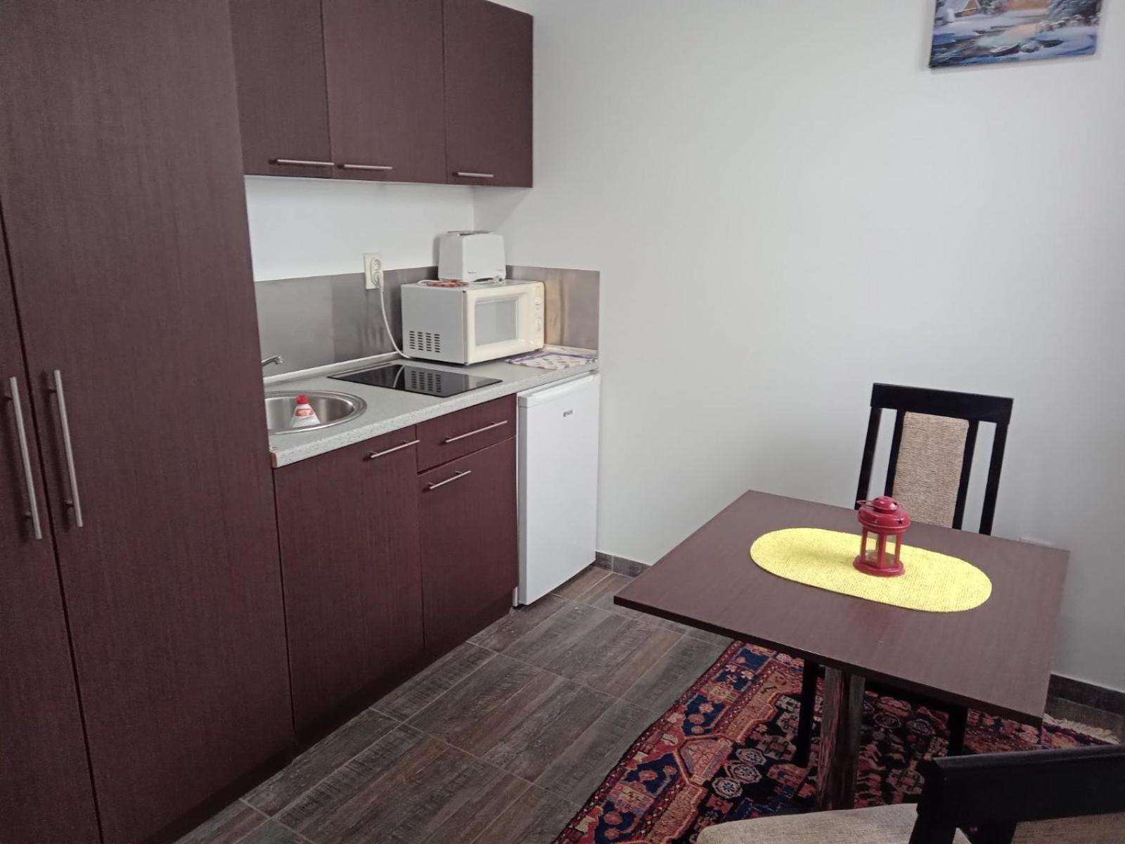 Vila Mozart - Apartments & Studios コパオニク エクステリア 写真